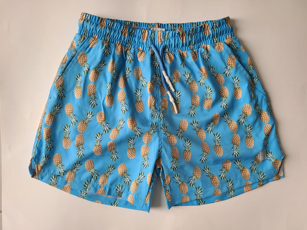 All over Pineapple Short